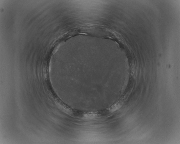 X0000070340470200606231537