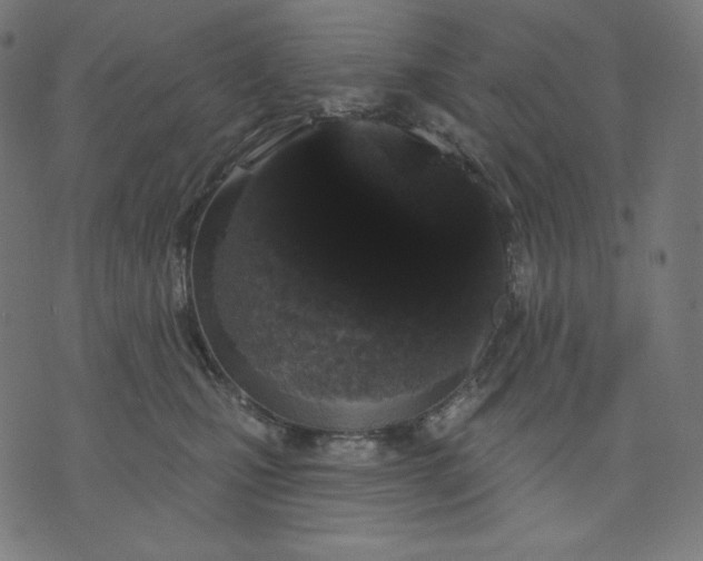 X0000070340471200606231537