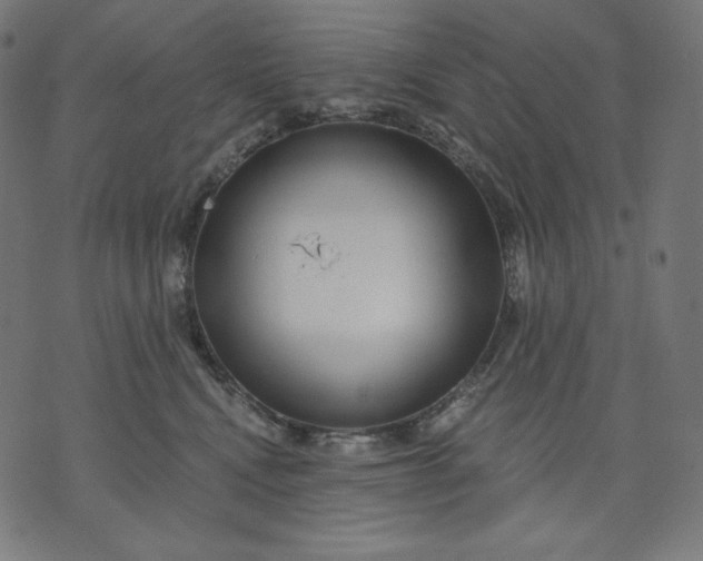 X0000070340472200606231537