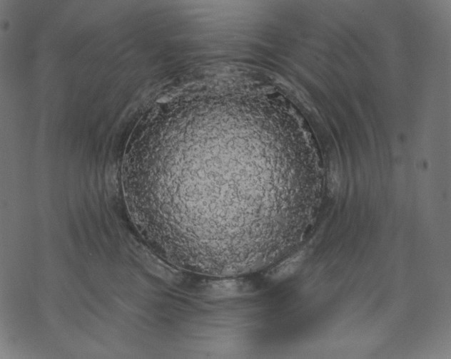 X0000070340473200606231537