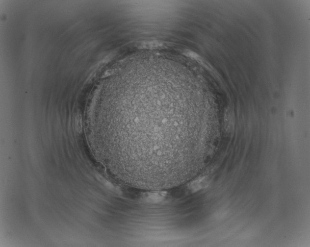 X0000070340474200606231537