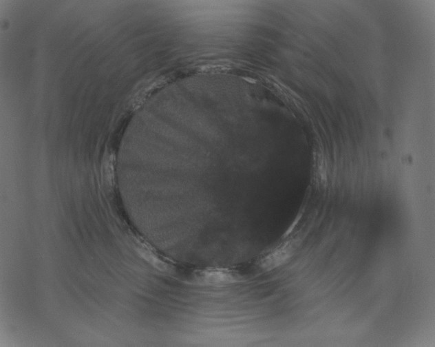 X0000070340475200606231537