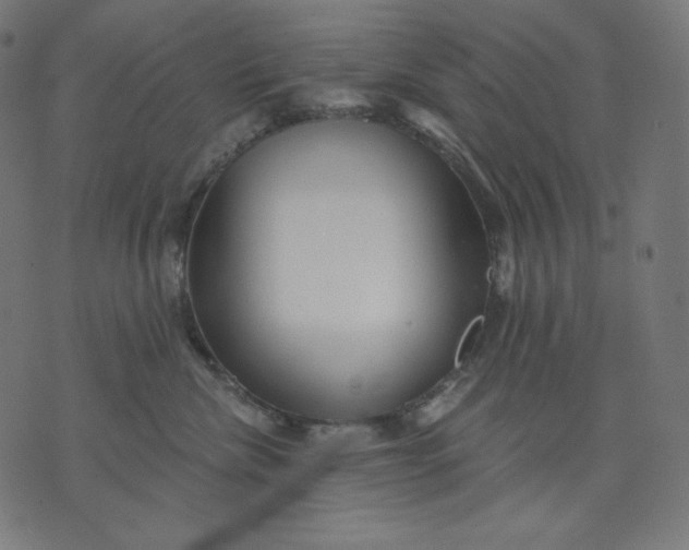 X0000070340476200606231537