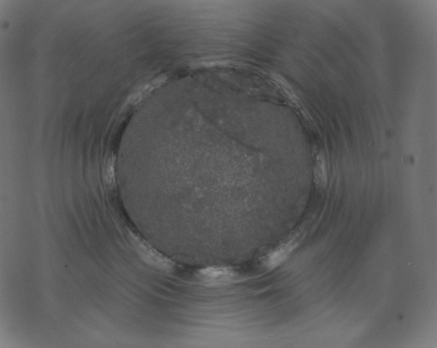 X0000070340477200606231537