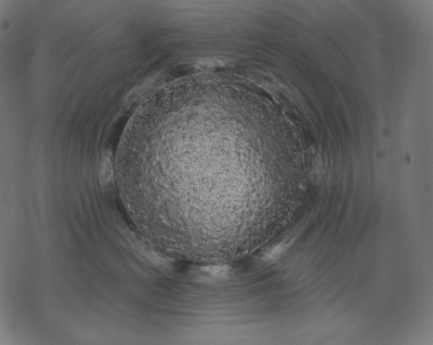 X0000070340478200606231537