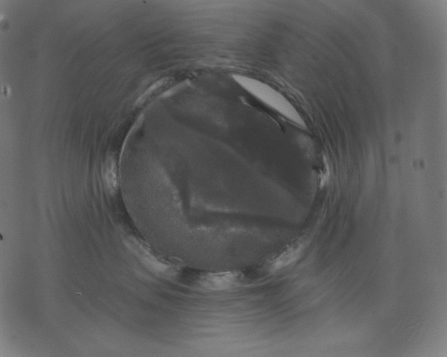 X0000070340479200606231537