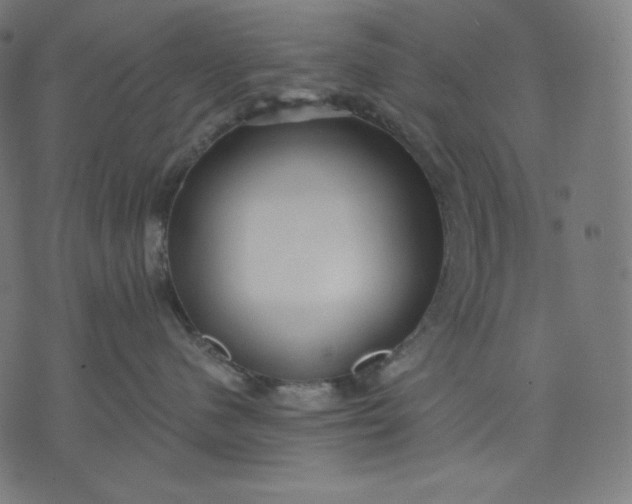 X0000070340480200606231537