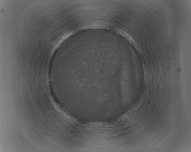 X0000070340482200606231536