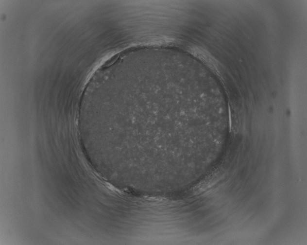 X0000070340483200606231536