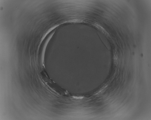 X0000070340484200606231536