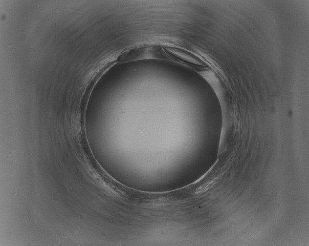 X0000070340485200606231536