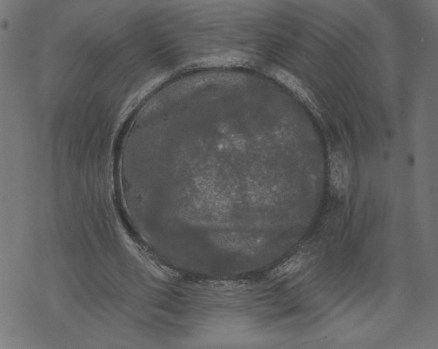 X0000070340486200606231536