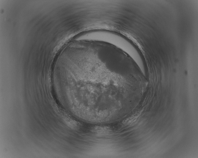 X0000070340487200606231536