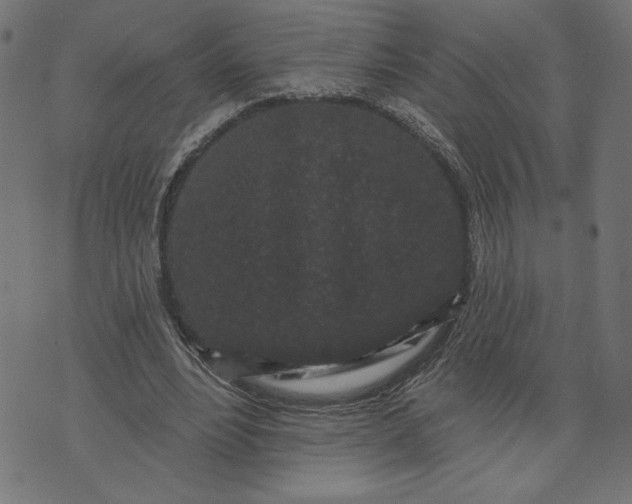 X0000070340488200606231536