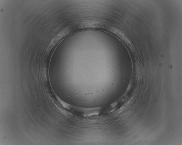 X0000070340489200606231536