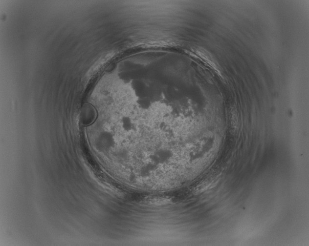 X0000070340491200606231536