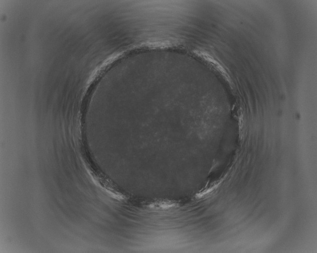 X0000070340492200606231536