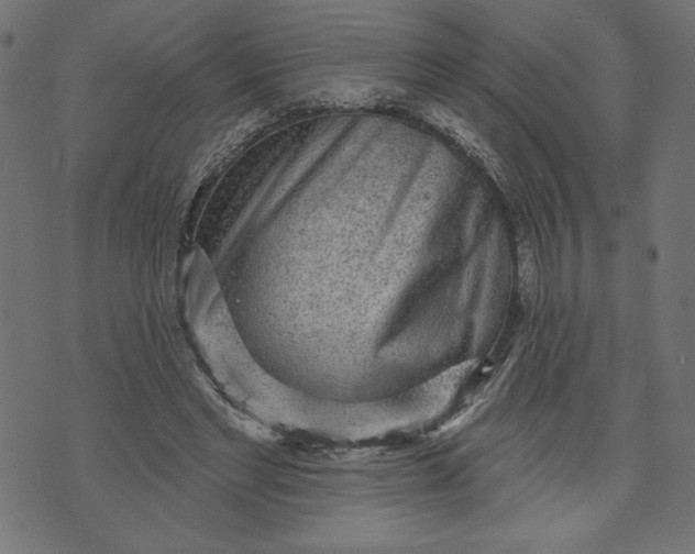 X0000070340493200606231536