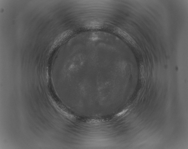 X0000070340494200606231536