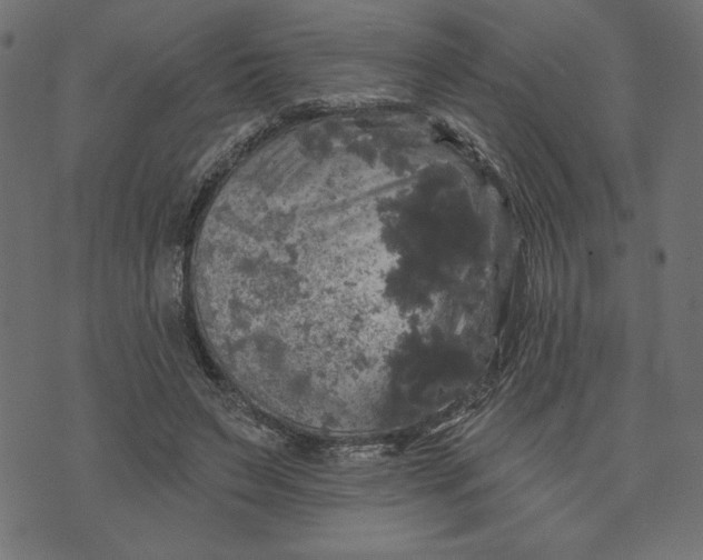 X0000070340495200606231536