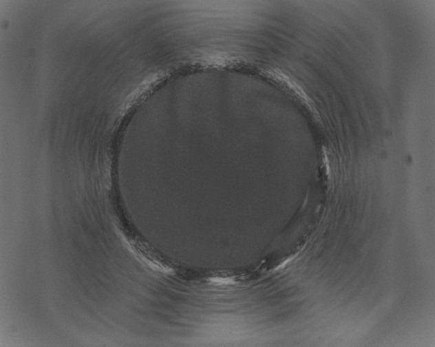 X0000070340496200606231536