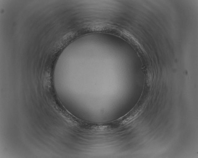 X0000070340497200606231536