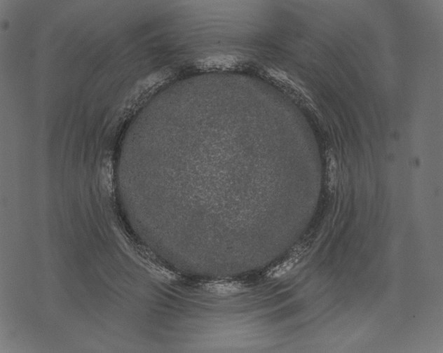 X0000070340498200606231536