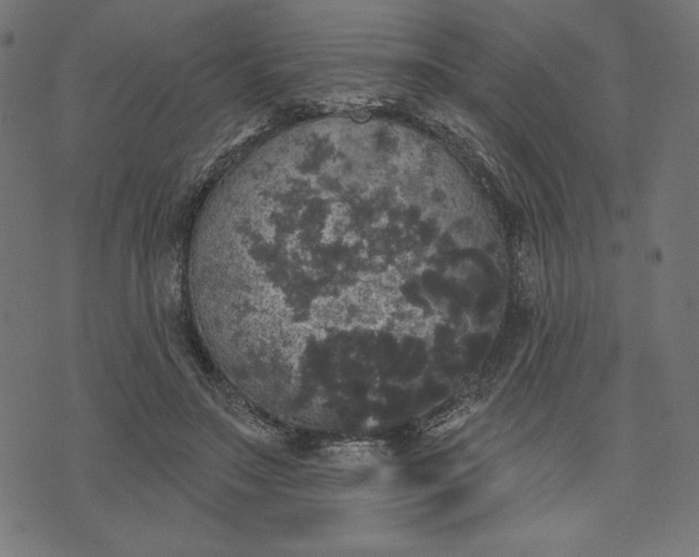 X0000070340499200606231536