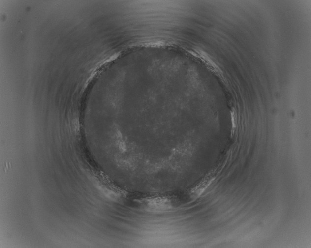 X0000070340500200606231536