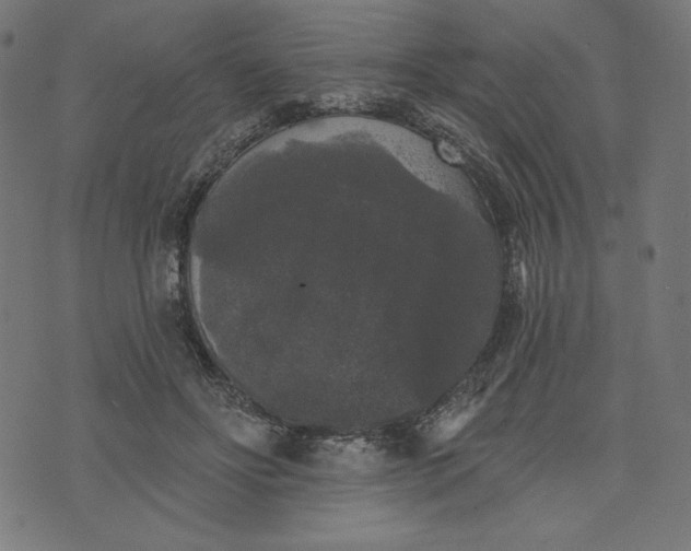 X0000070340502200606231536