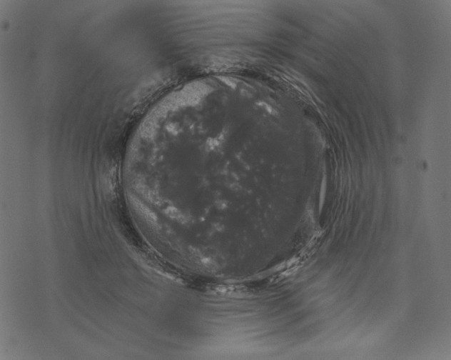 X0000070340503200606231536