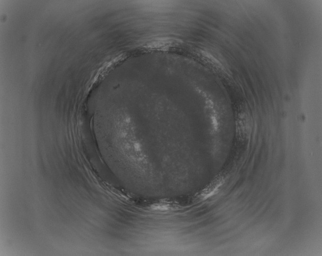 X0000070340504200606231536