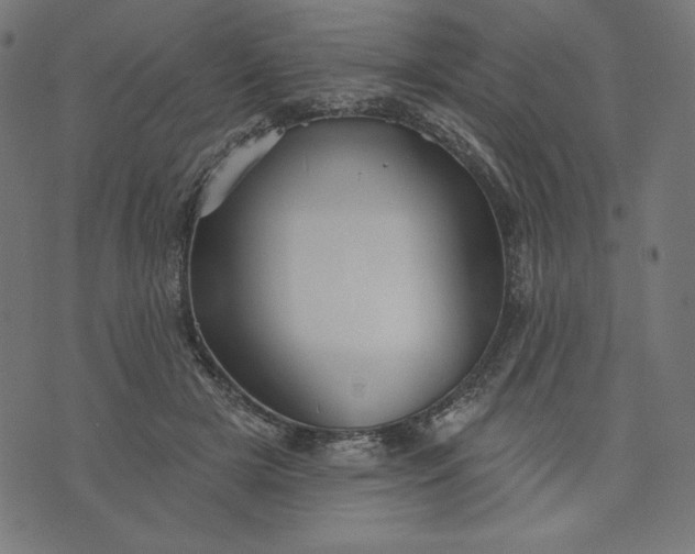 X0000070340505200606231536