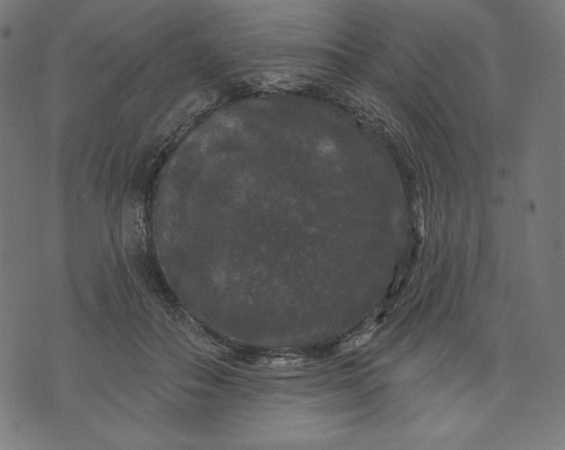 X0000070340506200606231536