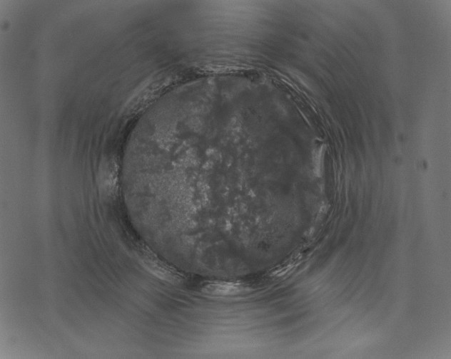 X0000070340507200606231536