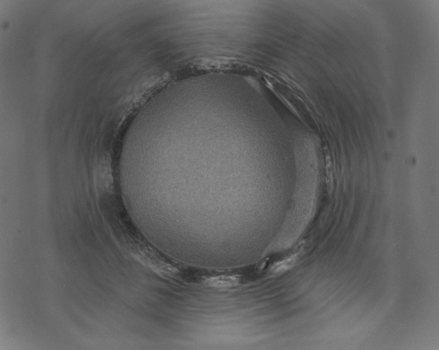 X0000070340508200606231536