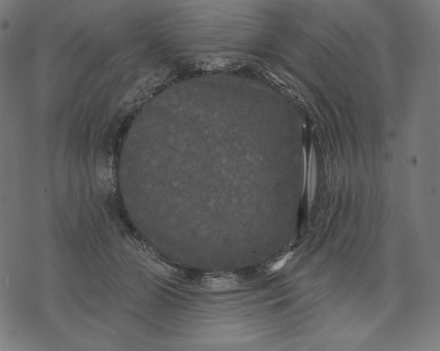 X0000070340510200606231535