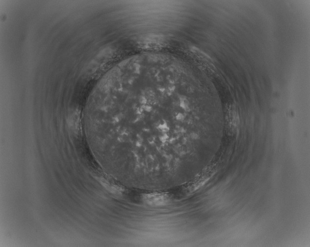 X0000070340511200606231535