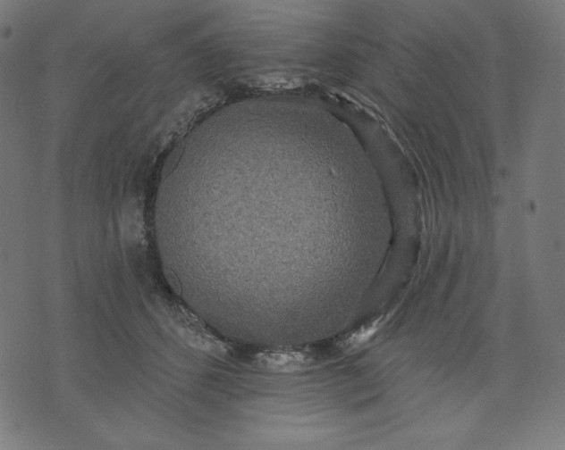 X0000070340512200606231535