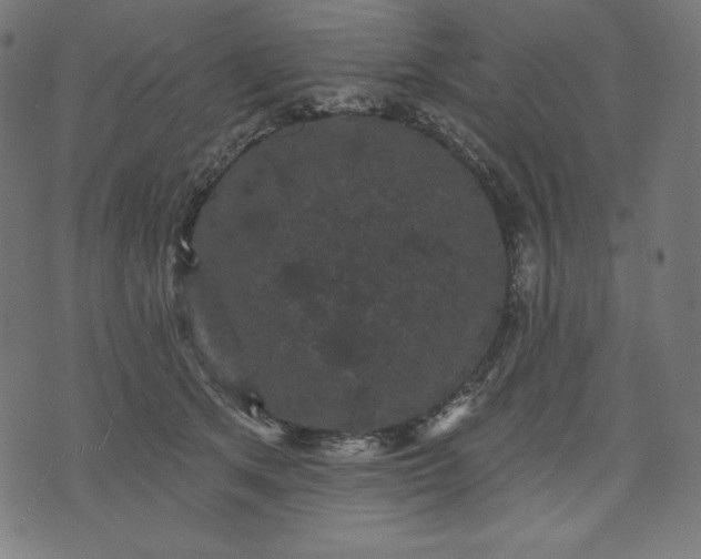 X0000070340513200606231535