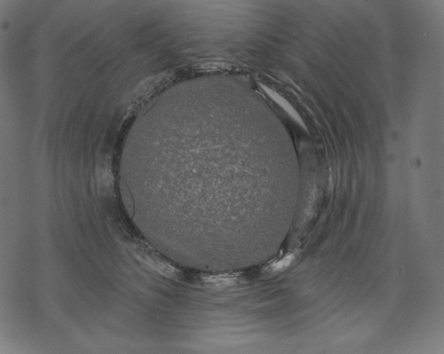 X0000070340516200606231535