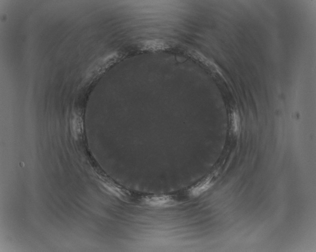 X0000070340517200606231535