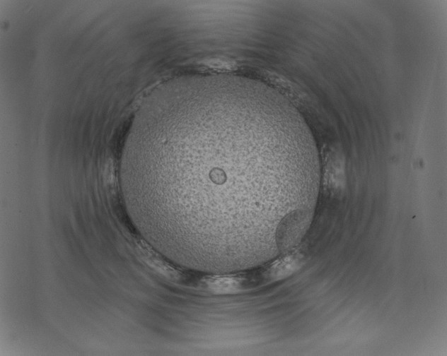 X0000070340518200606231535