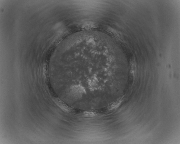 X0000070340519200606231535