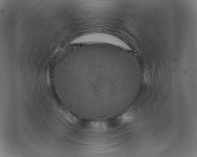 X0000070340520200606231535