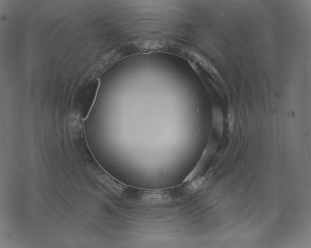 X0000070340521200606231535