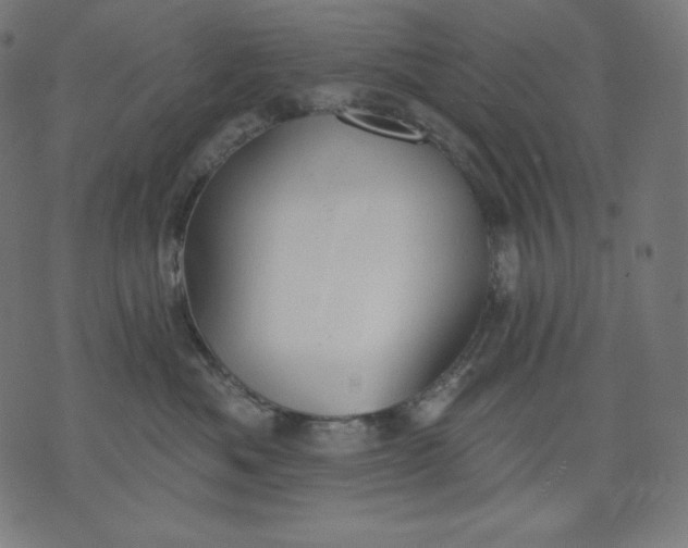 X0000070340525200606231535