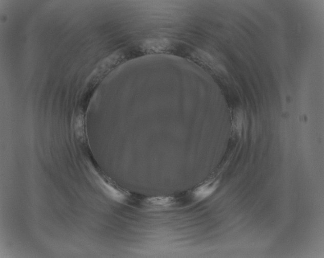 X0000070340526200606231535