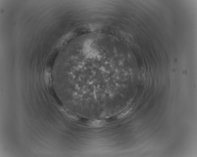 X0000070340527200606231535