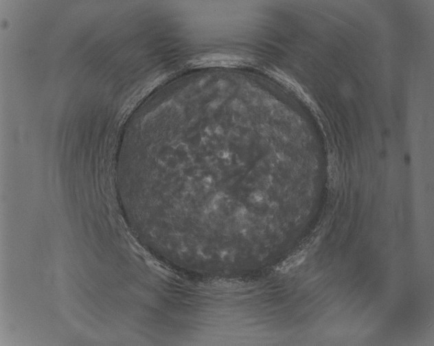 X0000070340529200606231534